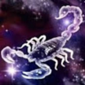 Meet your Posher, Lisnely